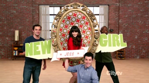 New Girl (TV series)