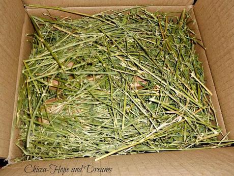 Bioveganshop.it - presentazione store Bioveganshop.it - presentazione store