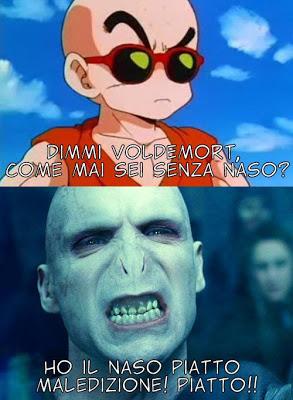 Le Sfide di GiocoMagazzino! Ventisettesima Sfida: Gargamella VS Lord Voldemort!