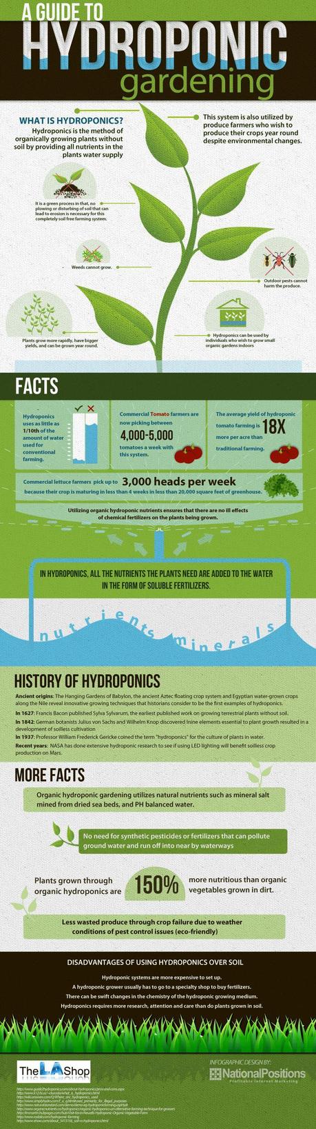 L'idroponica, la coltivazione fuori  suolo: un'infografica