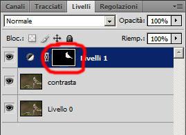 Fotoritocco animali con Photoshop - Strumento contrasta, Livelli di Regolazione e Maschera di Livello