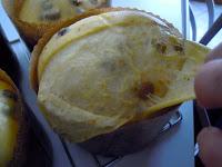 Il panettone 2013 con KCC e abbattitore Fresco Irinox Il panettone 2013 con KCC e abbattitore Fresco Irinox