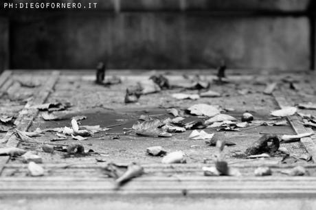 Wroclaw Polonia Dedicato al mio amore più grande.