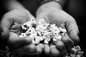 Popcorn: una miniera di antiossidanti!
