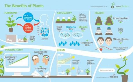 I benefici delle piante: dai luoghi di lavoro alle abitazioni. Un'infografica