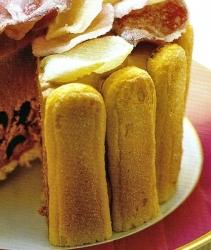 Biscotti Savoiardi o Biscuit à la Cuillère o Lady Fingers savoiardi,spaghetti,risorgimento,vittorioemanuele