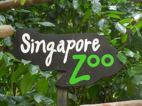 Singapore zoo_viaggiandovaldi