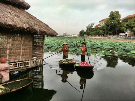 hanoi-west-lake-lotus