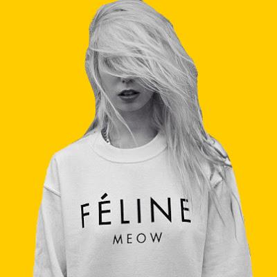 FéLiNe, CaNiNé & HoMiéS... FéLiNe, CaNiNé & HoMiéS...