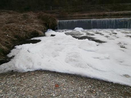 Teniamo alta l' attenzione sul Fiume Olona Teniamo alta l' attenzione sul Fiume Olona