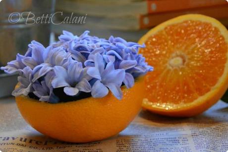 fiori di giacinto e arance