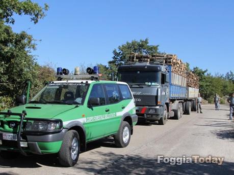 MONTE SANT’ANGELO – Operazione ‘Urlo della foresta’ contro il disboscamento sul Gargano | FOTO MONTE SANT’ANGELO – Operazione ‘Urlo della foresta’ contro il disboscamento sul Gargano | FOTO