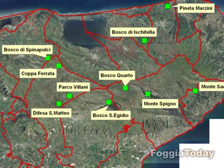 MONTE SANT’ANGELO – Operazione ‘Urlo della foresta’ contro il disboscamento sul Gargano | FOTO MONTE SANT’ANGELO – Operazione ‘Urlo della foresta’ contro il disboscamento sul Gargano | FOTO
