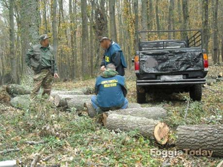 MONTE SANT’ANGELO – Operazione ‘Urlo della foresta’ contro il disboscamento sul Gargano | FOTO MONTE SANT’ANGELO – Operazione ‘Urlo della foresta’ contro il disboscamento sul Gargano | FOTO