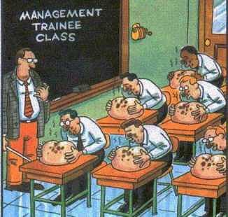lecchinismo e management class