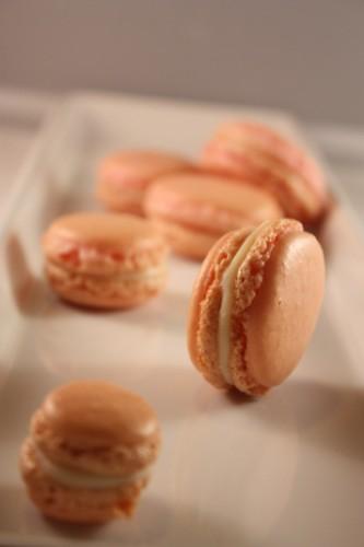 macarons_apertura_scaled