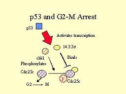 Come utilizzare la proteina p53 nella lotta anticancro