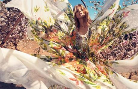 blumarine 2013 ad5