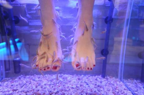 Go try it: Fishpedicure!