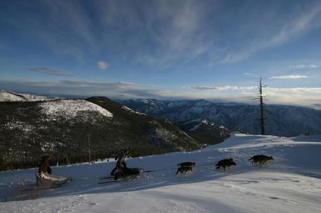 Gordon Buchanan on dog sled trip into  the Cascade mountains  in search of wolves