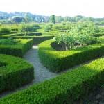 arte topiaria giardino all'italiana