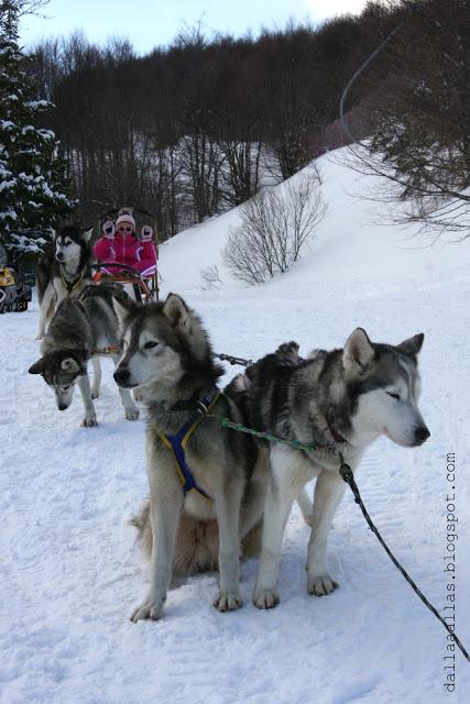 Idea weekend, Sleddog con i bambini in Appennino