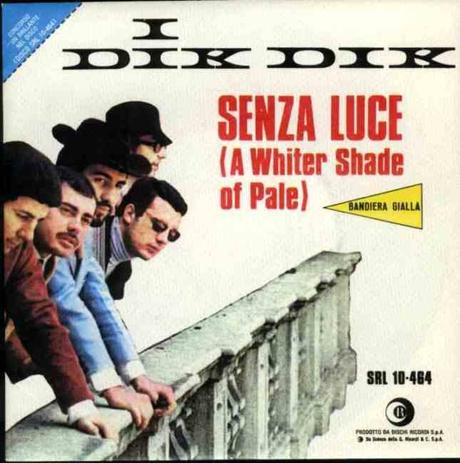 Dik-Dik senza luce