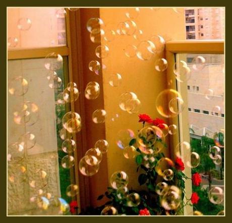 0083 Tutta la fantasia in una bolla di sapone: di Marco Bizzarri e Paola Pardini