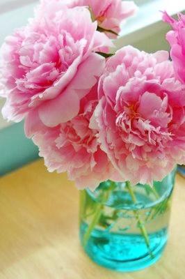 Nothing flourishes as the peony.

Compared to her, the other...