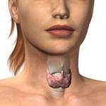 tiroide ipotiroidismo ipertiroidismo 