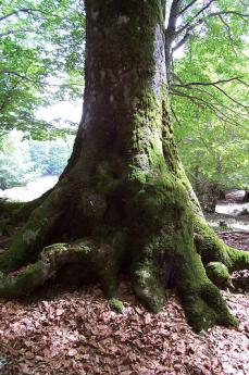 Giornata europea in memoria dei Giusti Foto di Elisabetta_81