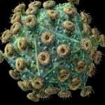 Aids, bambina guarisce dal virus: è il secondo caso al mondo