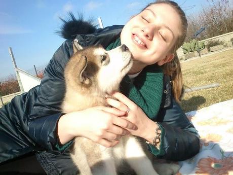 Il rapporto affettivo costruito con un Alaskan Malamute