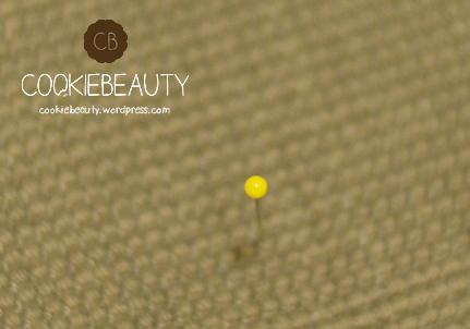 Dotter Fai Da Te puntina