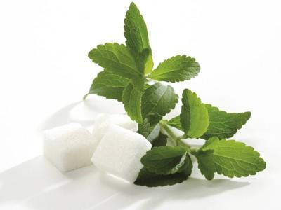Bio-prodotti: Stevia, dolcificante naturale