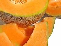 celestino-mingherlino-albero-meloni