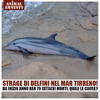 Strage di delfini nel Mar Tirreno