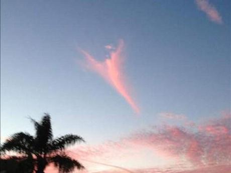 La nuvola comparsa ieri in Florida