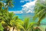 La spiaggia ed il mare davanti a Taveuni Palms Resort