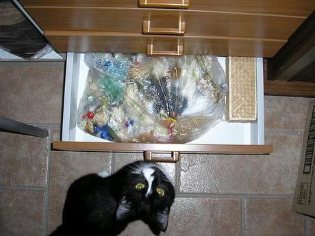 * EBBENE SI: DECLUTTERING! * PC042633