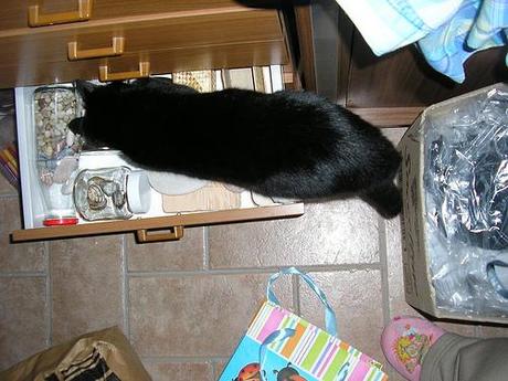 * EBBENE SI: DECLUTTERING! * PB282616