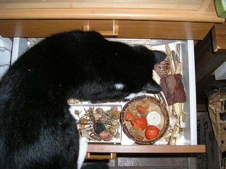 * EBBENE SI: DECLUTTERING! * PB282619