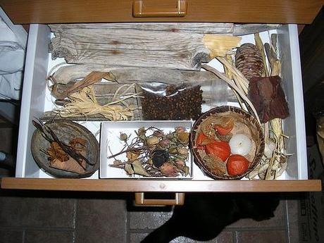 * EBBENE SI: DECLUTTERING! * PB282620