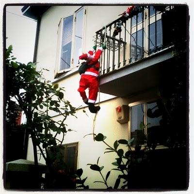 365project • pic 99/365 365project • pic 99/365