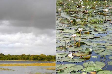 Somewhere over the rainbow... The Mudhouse: quality, machang!