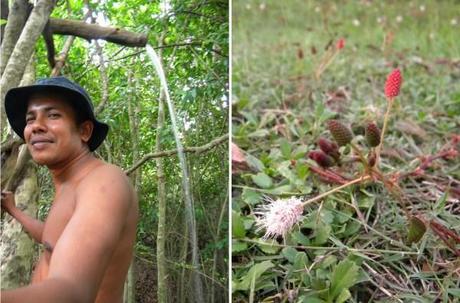 The Mudhouse - Kumar and the jungle shower The Mudhouse: quality, machang!