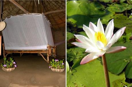 The honeymoon hut The Mudhouse: quality, machang!