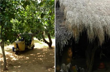 The Mudhouse - local flavour The Mudhouse: quality, machang!