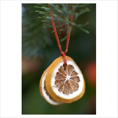 NATALE DECOR: poesie alla frutta.