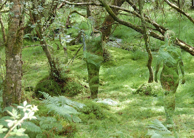 Il bosco guarda e ascolta: dall’orecchio di Pamiggiani ai gialli e verdi di Vivant